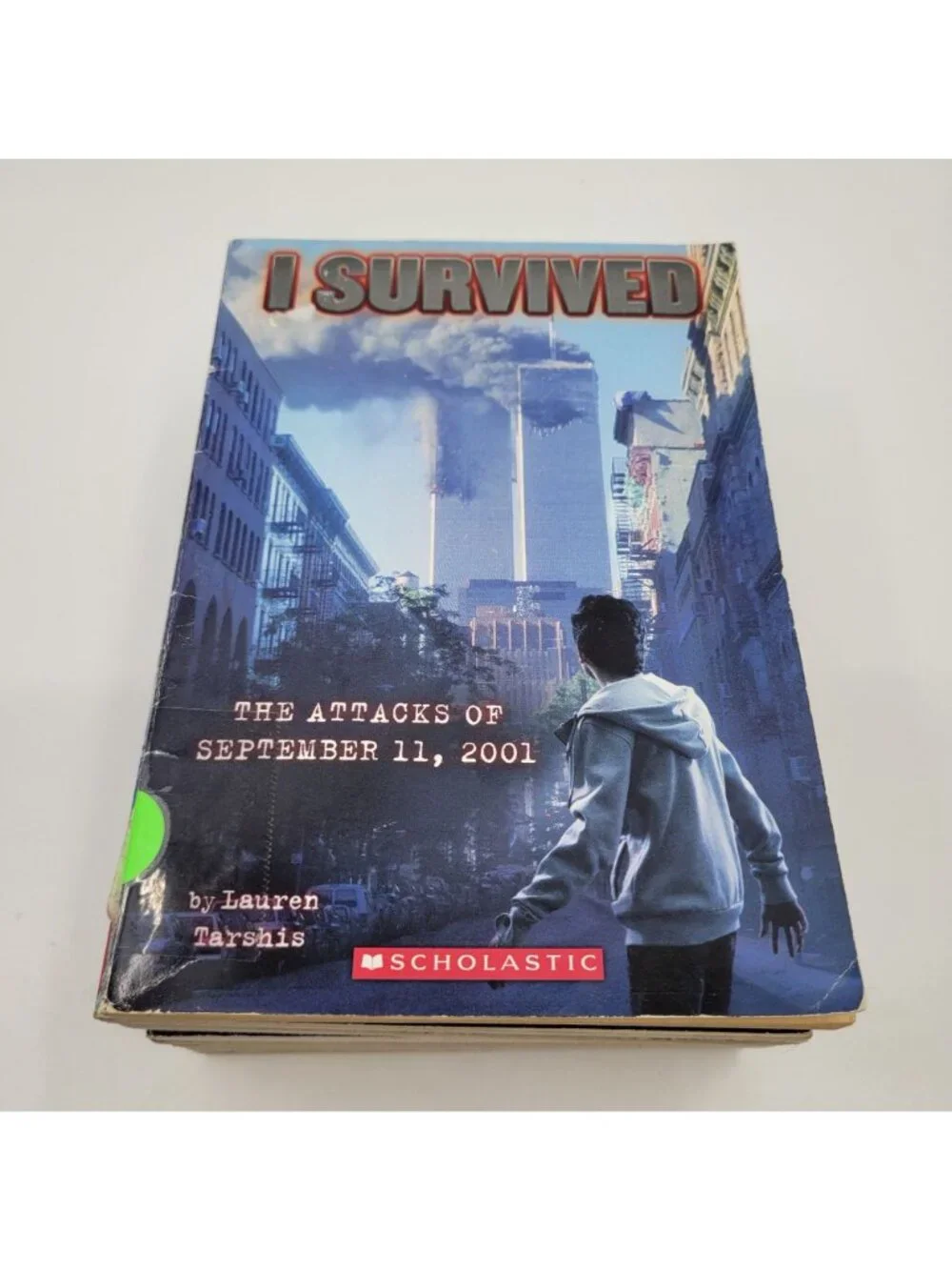 I SURVIVED Lot of 10 Juvenile Historical NonFiction Chapter Books - BK104